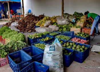 Prefeitura realiza mais uma compra do Programa de Aquisição de Alimentos