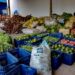 Prefeitura realiza mais uma compra do Programa de Aquisição de Alimentos