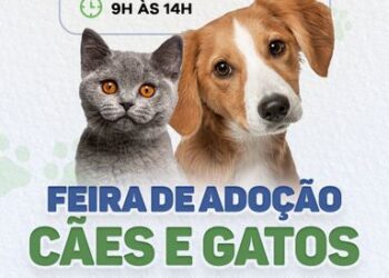 Prefeitura de Eunápolis promove mais uma Feira de Adoção de Cães e Gatos nesta sexta-feira