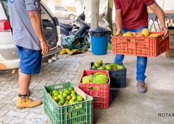 Prefeitura de Eunápolis inicia aquisição de alimentos de agricultores familiares para 2024