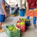 Prefeitura de Eunápolis inicia aquisição de alimentos de agricultores familiares para 2024