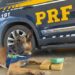 POLÍCIA RODOVIÁRIA FEDERAL, segurança nacional em todos os lugares.