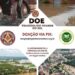 Loja maçônica Fraternidade 05 de Novembro faz campanha social para ajudar as vítimas das fortes chuvas no Rio Grande do Sul