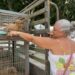 *Animais resgatados encontram novo lar em Feira de Adoção realizada pela Prefeitura de Eunápolis*
