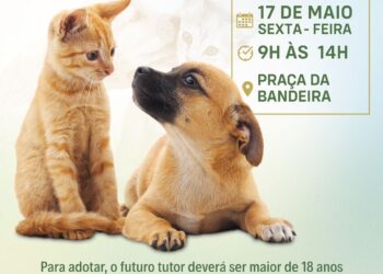 Feira de Adoção de Cães e Gatos acontece nesta sexta-feira na Praça da Bandeira