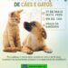 Feira de Adoção de Cães e Gatos acontece nesta sexta-feira na Praça da Bandeira