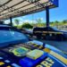 POLÍCIA RODOVIÁRIA FEDERAL, UMA PEDRA NO SAPATO DA BANDIDGEM QUE RODA PELAS RODOVIAS