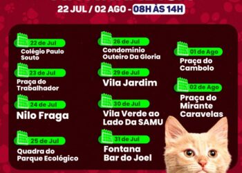 Campanha de vacinação antirrábica 2024 começa nesta segunda-feira (08/07) em Porto Seguro