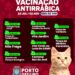 Campanha de vacinação antirrábica 2024 começa nesta segunda-feira (08/07) em Porto Seguro