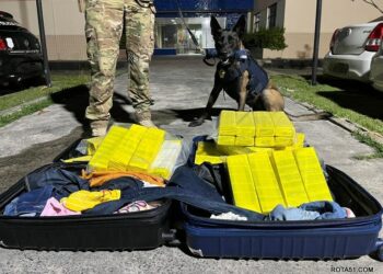 PRF apreende mais de 50 kg de maconha em ônibus de turismo em Feira de Santana (BA)