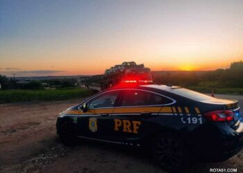 Bêbados pilotando, roubos, falta de pagamento e outros crimes, sofrem ação da Polícia Rodoviária Federal.