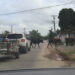 Gado solto nas ruas, um perigo para carros, motos e transeuntes a pé.