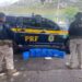 Do tráfico de drogas até apreensão de dinheiro, a PRF mantém a segurança nas rodovias.
