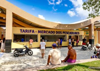 Nova Tarifa – Mercado dos Pescadores entra em pleno funcionamento