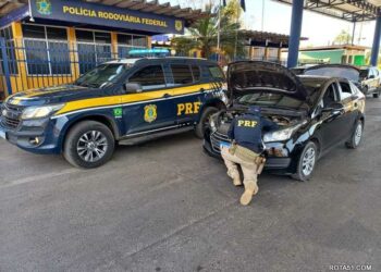 Veículos roubados recuperados pela PRF.