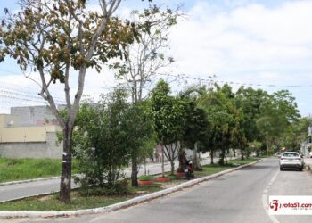 Embora seja ambiental, o bairro Antares está sendo vítima de um crime: matança de árvores.