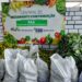 Prefeitura de Porto Seguro realiza compra de 10 toneladas de alimentos da agricultura familiar para famílias em situação de vulnerabilidade