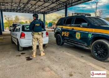 De apreensão de pássaros à drogas, a PRF mantém a segurança nas rodovias.