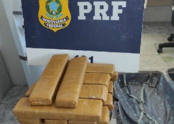 PRF apreende quase 61 kg de maconha durante fiscalização na BR-116, em Feira de Santana (BA)
