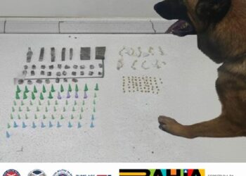 8° BPM APREENDE DROGAS, APÓS APLICAR CÃO POLICIAL, EM SANTA CRUZ CABRÁLIA