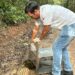 Equipe de Fiscalização da Semac resgata ouriço-cacheiro em residência no Village II
