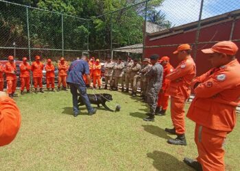 POLICIAIS DO 8° BPM PARTICIPAM DE CURSO PROMOVIDO PELO CBMBA
