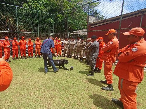 POLICIAIS DO 8° BPM PARTICIPAM DE CURSO PROMOVIDO PELO CBMBA
