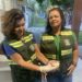 Equipe da Semac realiza resgate de filhotes de cuíca em Arraial d’Ajuda
