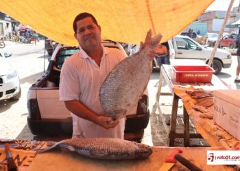 PEIXARIA DO JUJU, recebe sua encomende de peixes e frutos do mar…