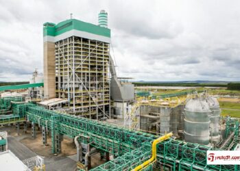 Veracel abre vagas para o Programa de Estágio de 2025