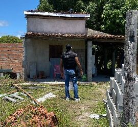 BELMONTE – POLÍCIA CIVIL LOCALIZA MAIS UMA PLANTAÇÃO DE MACONHA NA CIDADE BELMONTE