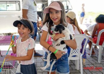 UM NOVO LAR: Feira de Adoção da Semac leva amor e esperança a 17 animais