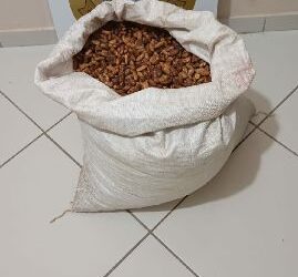 Polícia Civil recupera carga de cacau furtada em fazenda entre Eunápolis e Porto Seguro