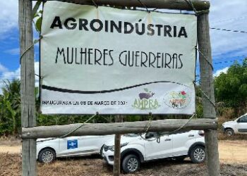 Festival Gastronômico Raízes 2025 fortalece agricultura familiar com almoço no campo