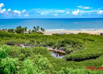 Ação Emergencial na Foz do Rio Trancoso reúne autoridades e comunidade