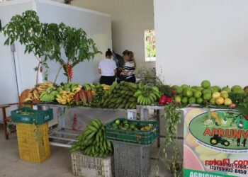 Veracel mantém a integração entre a imprensa e representantes da agricultura familiar.