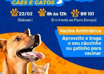 Prefeitura de Eunápolis realiza feira de adoção de cães e gatos neste sábado (22) na UVZ