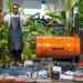 Curso Mestre Churrasqueiro: o melhor churrasco é o seu!