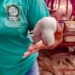 Semac reforça proteção à fauna silvestre em ação na orla de Arraial D’Ajuda