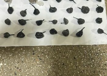 Polícia Militar apreende drogas em Teixeira de Freitas