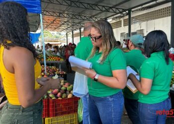 Feirantes de Porto Seguro estão sendo recadastrados