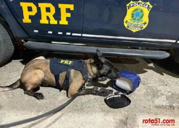 PRF UM BRAÇO FORTE DA LEI NAS RODOVIAS…