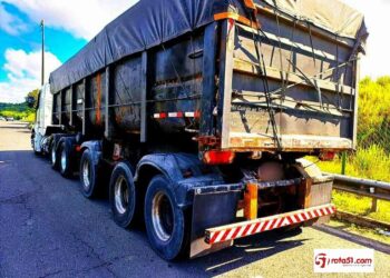 PRF intercepta caminho, cometendo crime ambiental.