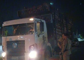 PMBA RECUPERA CAMINHÃO COM BUSCA E APREENSÃO E CARGA IRREGULAR