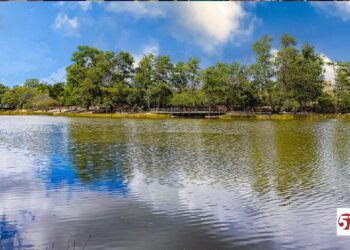 Prefeitura de Eunápolis realiza Semana do Meio Ambiente com ações de conscientização e preservação