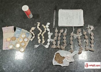 APREENSÃO DE DROGAS SEM CONDUÇÃO DE PESSOAS