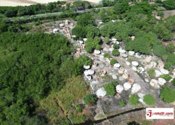Invasão em área de manguezal na Orla Norte mobiliza Prefeitura e órgãos de fiscalização em Porto Seguro