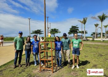 Projeto Arboriza Porto Seguro promove plantio de árvores e reforça compromisso ambiental da cidade
