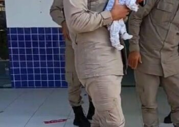 POLICIAIS MILITARES SALVAM RECÉM-NASCIDO NO EXTREMO SUL “A ocorrência foi atendida pela Base Comunitária de Segurança de Porto Seguro”