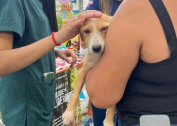 Sucesso marca a 2ª Feira de Adoção de Animais realizada em Eunápolis